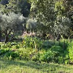 De Luccheri Villa Frasso Telesino