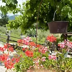 Villa De Luccheri *