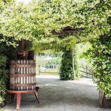 De Luccheri Villa *