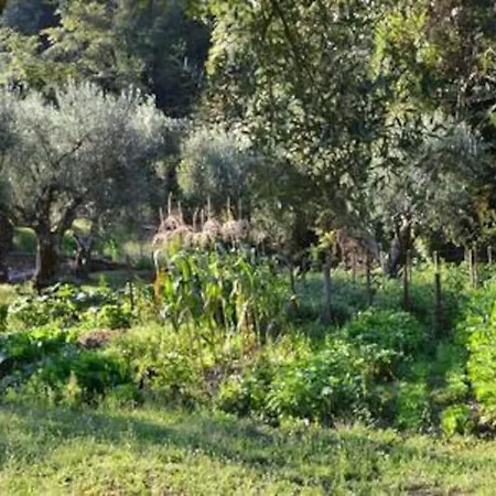 De Luccheri Villa Frasso Telesino