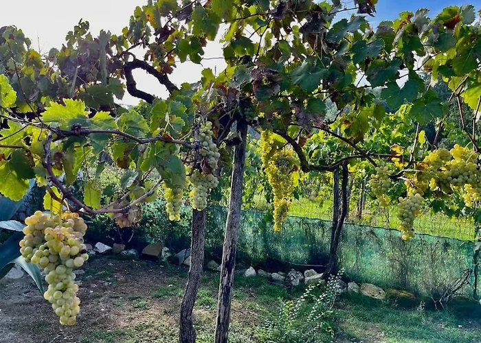 De Luccheri Villa
