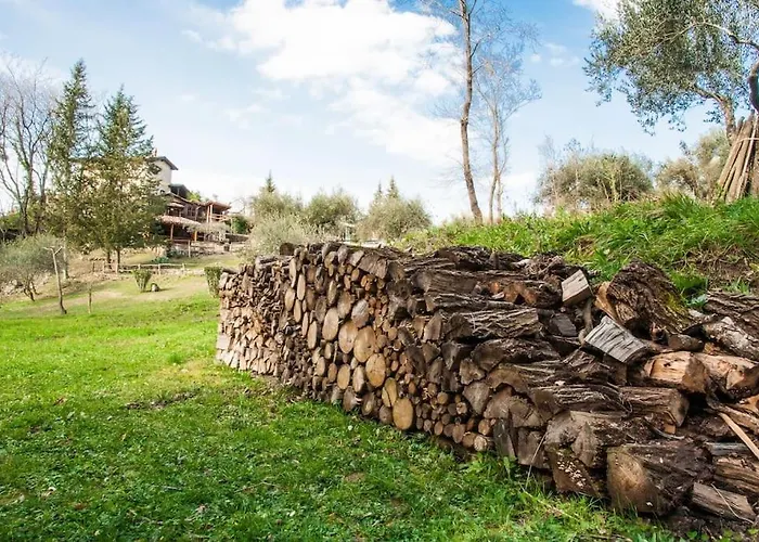 De Luccheri Villa Frasso Telesino